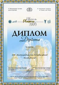 ������ �������� "����� 2004"