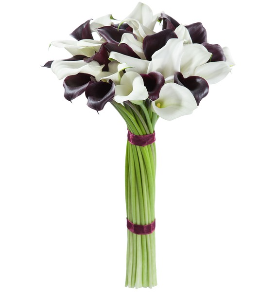 Букет-дуэт калл "Классика" (25,35,51 или 75) 
Букет-дуэт калл "Классика" (25,35,51 или 75)