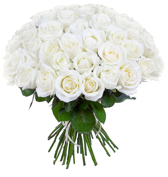 Букет из белых роз (25, 51 или 75)