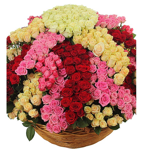 Композиция "Звездный цветок счастья " (801 роза) от Send Flowers