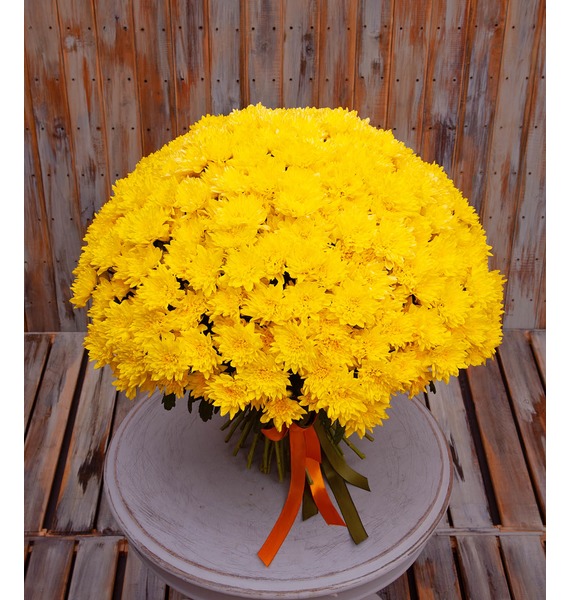 Букет-соло жёлтых хризантем (15,25,51,75 или 101)