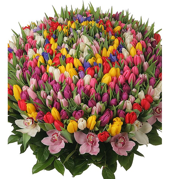 Композиция из 301 тюльпана "Счастливая весна" от Send Flowers
