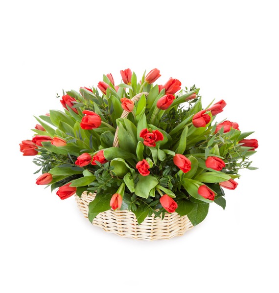 Композиция Красные тюльпаны березин ф красные звезды встречный катаклизм