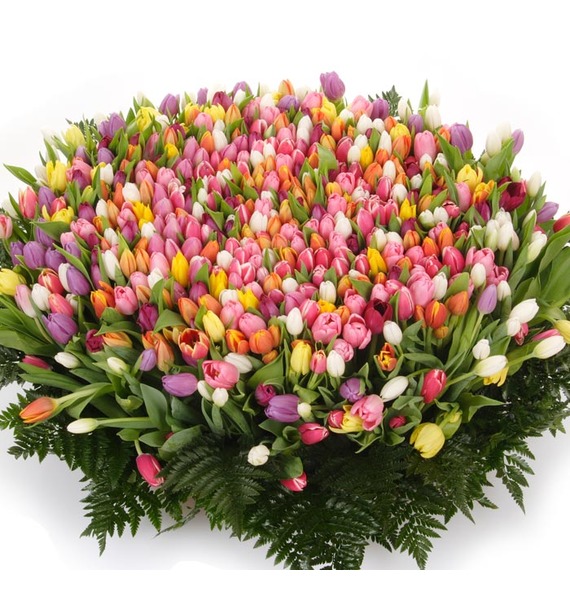 Композиция из 501 тюльпана "Бесконечно люблю!" от Send Flowers