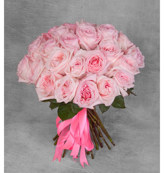 Букет-соло ароматных роз Pink OHara (15,25,35,51,75 или 101) o hara natalia hortense and the shadow