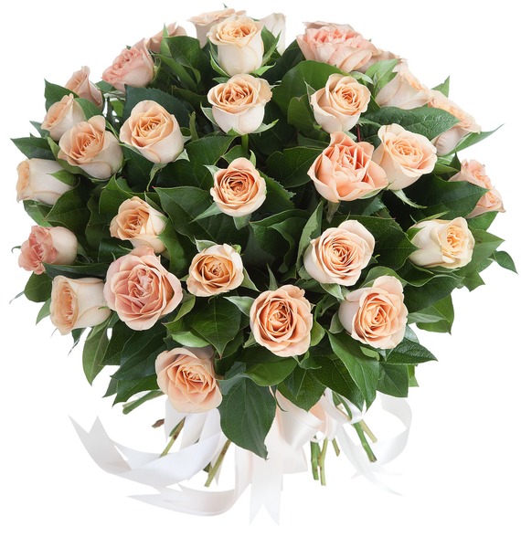 Букет роз "Cappucino" (35 роз)