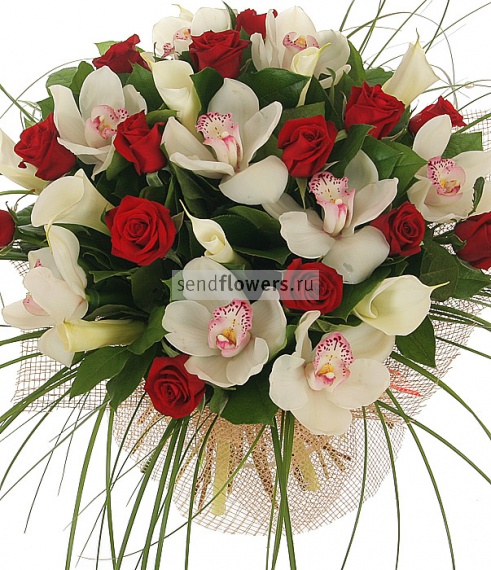 http://www.sendflowers.ru/images/flowers/sendflowers2/small/500x570x0x0x95x1_4239d848248a4611fc982772fe4432e5.jpg