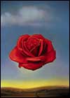 Dali, Salvador
Meditative Rose
1958
