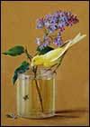 Tolstoy Fedor Petrovich
A branch of Lilacs and Canary