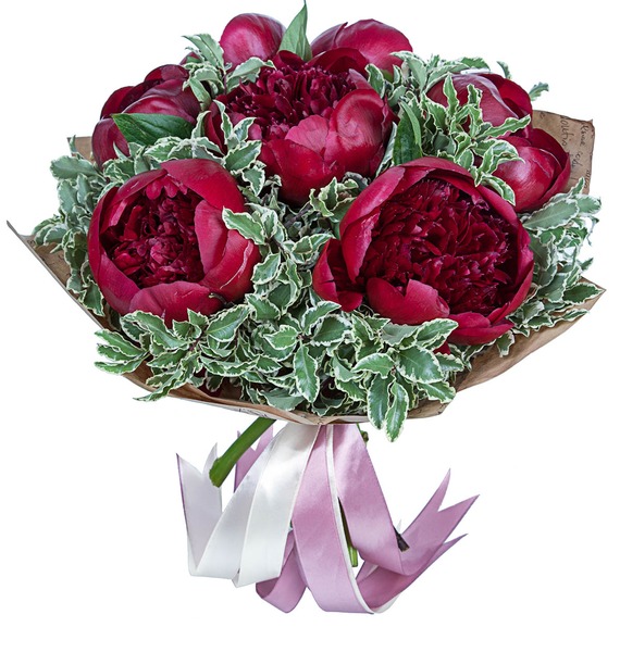 

Букет пионов "Red Charm"