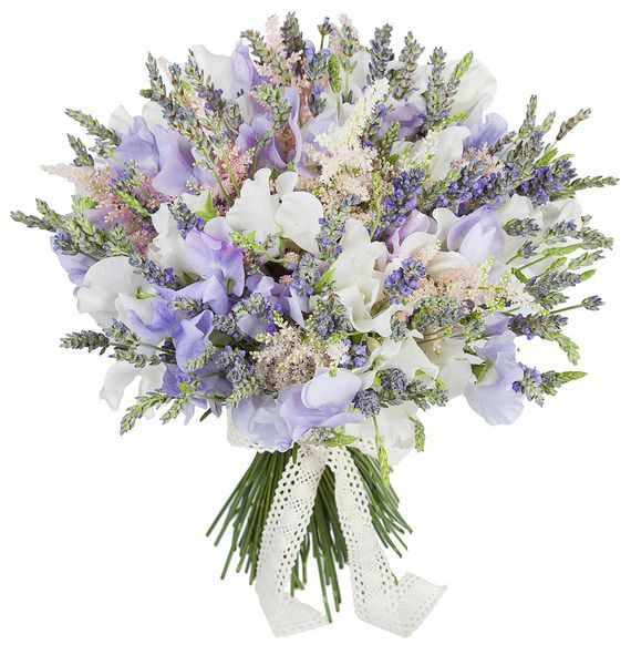 

Букет "Lavandula angustifolia"